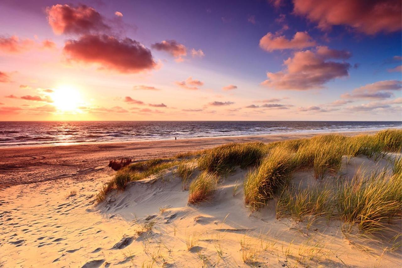 Scottish Thistle Zandvoort Dış mekan fotoğraf